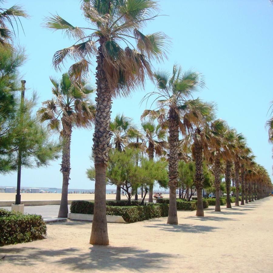 Casa Quintero Valencia Playa Cabanal エクステリア 写真